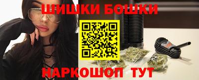 крисы Пенза
