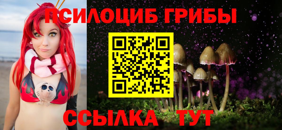 Псилоцибиновые грибы Psilocybine cubensis  Вход с VPN  Домодедово 